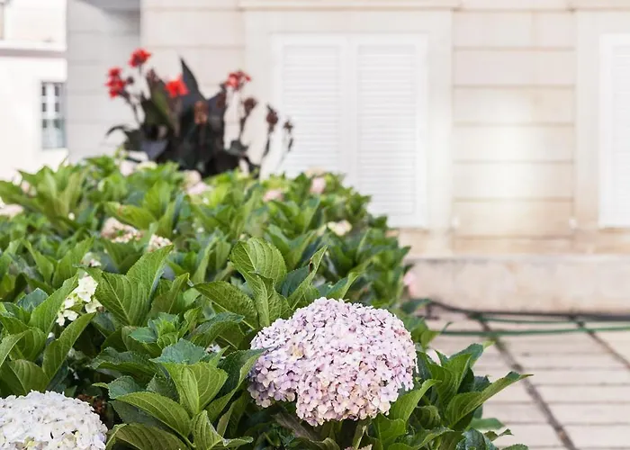 شقة Flh Campo Ourique With View