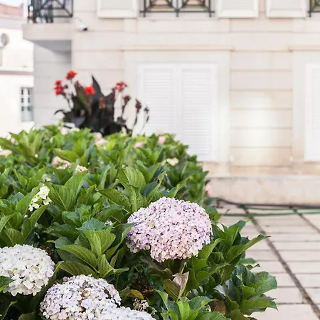 Διαμέρισμα Flh Campo Ourique With View